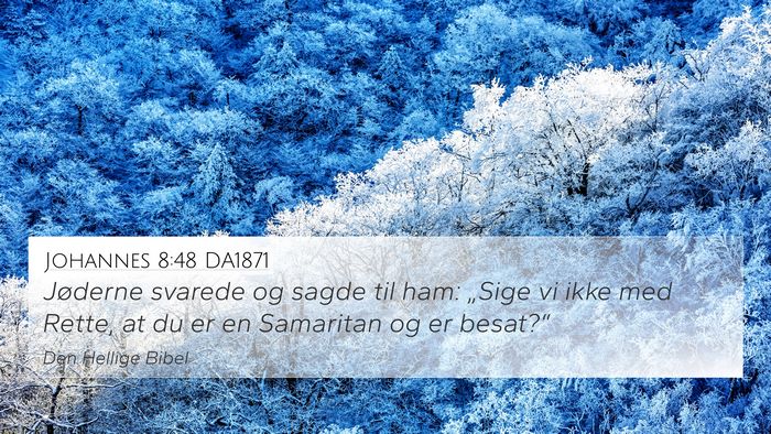Johannes 8:48 DA1871 Bible Verse Image
