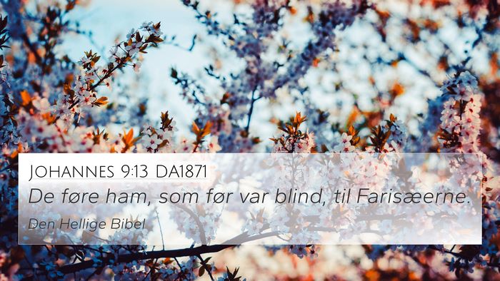 Johannes 9:13 DA1871 4K Wallpaper - De føre ham, som før var blind, til - 4K Wallpaper Bible Verse