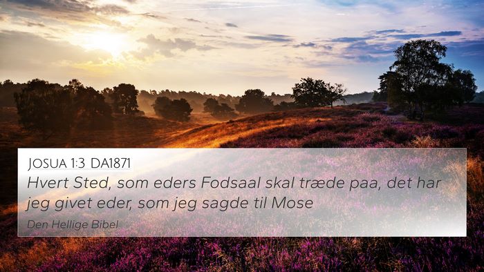 Josua 1:3 DA1871 Bible Verse Image