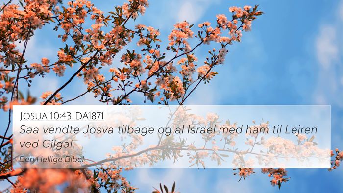 Josua 10:43 DA1871 Bible Verse Image