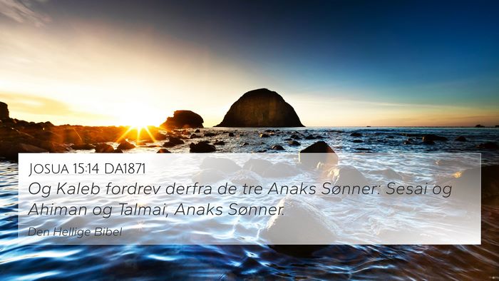 Josua 15:14 DA1871 Bible Verse Image