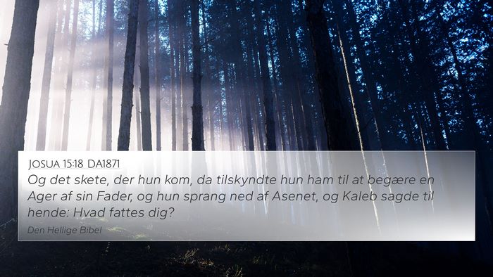 Josua 15:18 DA1871 4K Wallpaper - Og det skete, der hun kom, da tilskyndte hun ham - 4K Wallpaper Bible Verse