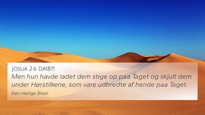 Josua 2:6 DA1871 Bible Verse Image