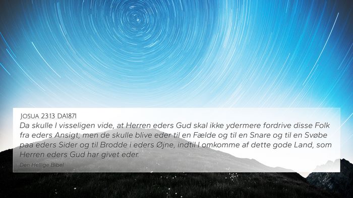 Josua 23:13 DA1871 Bible Verse Image