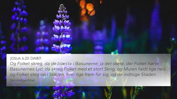 Josua 6:20 DA1871 Bible Verse Image