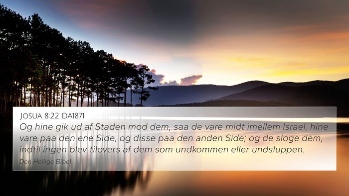 Josua 8:22 DA1871 4K Wallpaper - Og hine gik ud af Staden mod dem, saa de vare - 4K Wallpaper Bible Verse