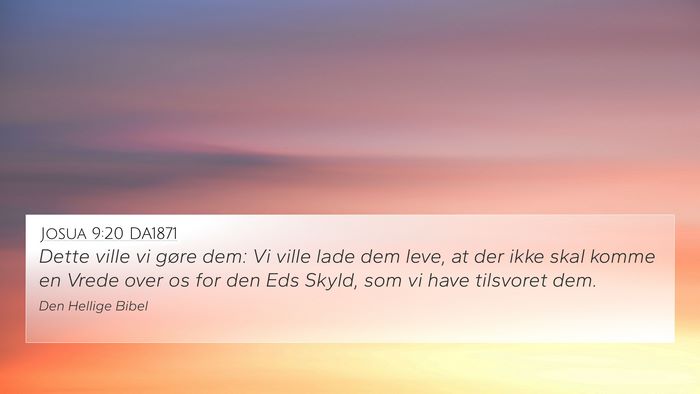 Josua 9:20 DA1871 Bible Verse Image