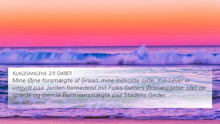 Klagesangene 2:11 DA1871 Bible Verse Image