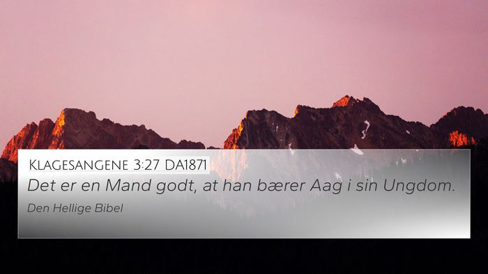 Klagesangene 3:27 DA1871 Bible Verse Image