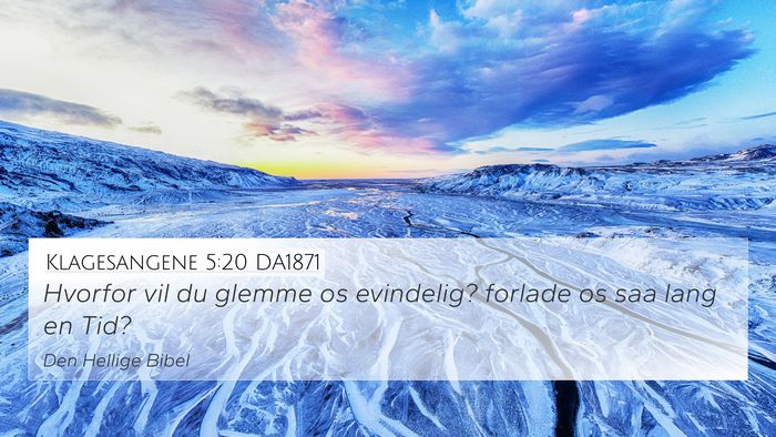 Klagesangene 5:20 DA1871 Bible Verse Image