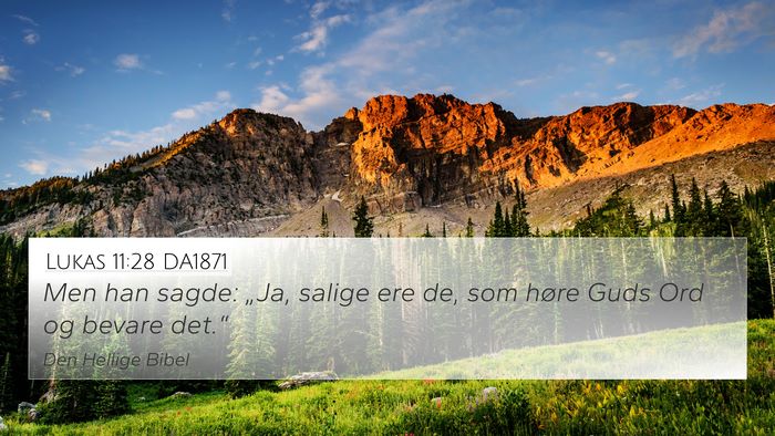 Lukas 11:28 DA1871 Bible Verse Image