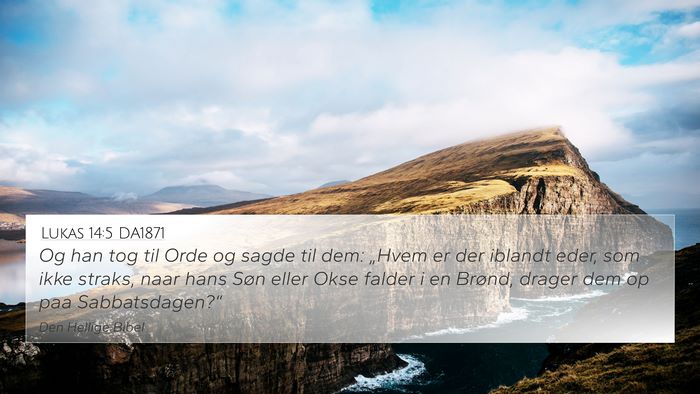 Lukas 14:5 DA1871 Bible Verse Image