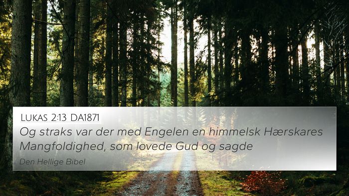 Lukas 2:13 DA1871 Bible Verse Image
