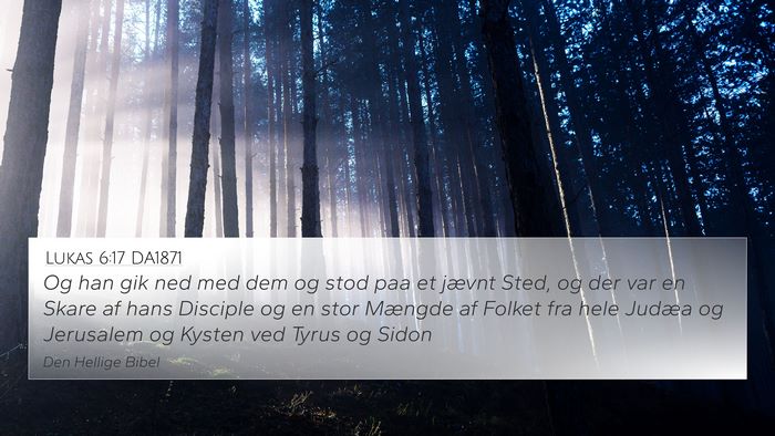 Lukas 6:17 DA1871 Bible Verse Image