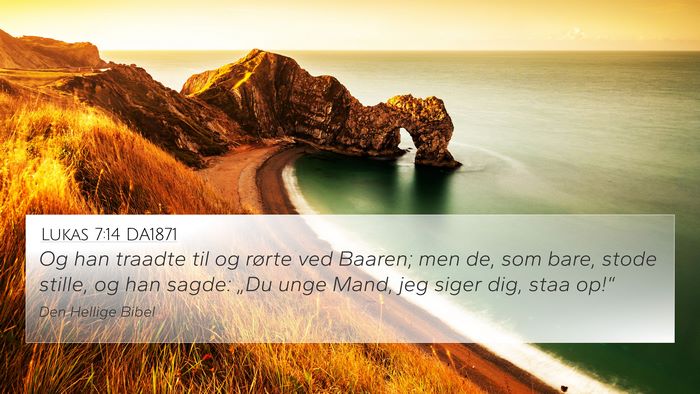 Lukas 7:14 DA1871 Bible Verse Image