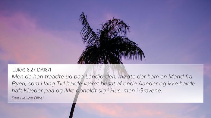 Lukas 8:27 DA1871 Bible Verse Image