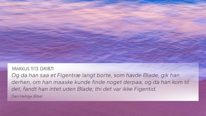 Markus 11:13 DA1871 4K Wallpaper - Og da han saa et Figentræ langt borte, som havde - 4K Wallpaper Bible Verse