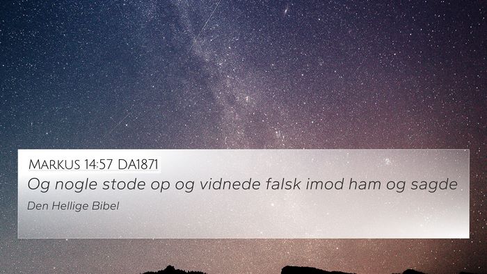 Markus 14:57 DA1871 Bible Verse Image
