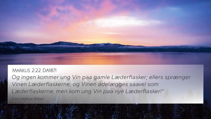 Markus 2:22 DA1871 4K Wallpaper - Og ingen kommer ung Vin paa gamle Læderflasker; - 4K Wallpaper Bible Verse