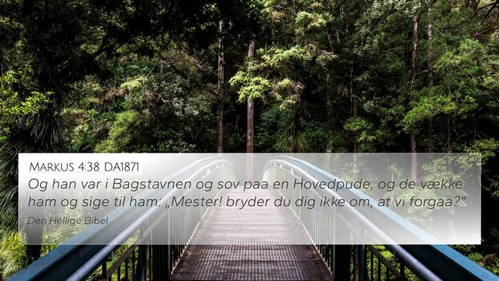 Markus 4:38 DA1871 Bible Verse Image