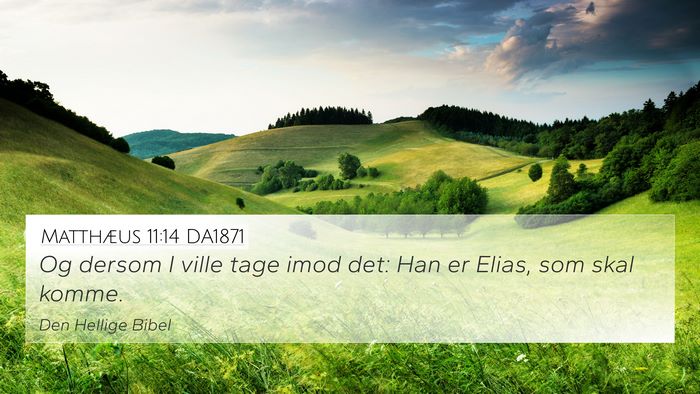 Matthæus 11:14 DA1871 Bible Verse Image