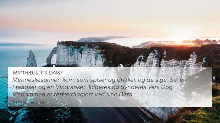 Matthæus 11:19 DA1871 Bible Verse Image