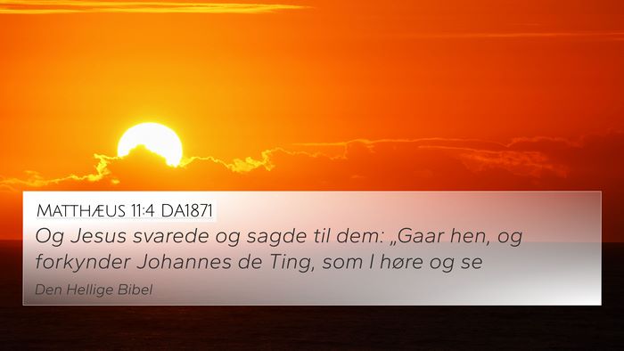 Matthæus 11:4 DA1871 Bible Verse Image