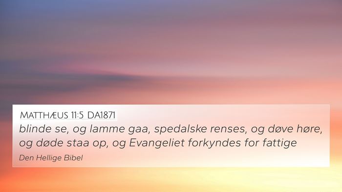 Matthæus 11:5 DA1871 Bible Verse Image