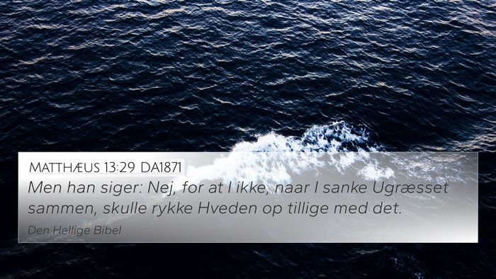 Matthæus 13:29 DA1871 4K Wallpaper - Men han siger: Nej, for at I ikke, naar I sanke - 4K Wallpaper Bible Verse