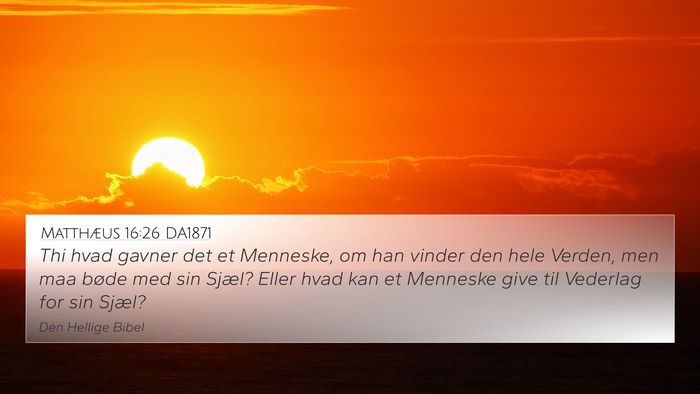 Matthæus 16:26 DA1871 Bible Verse Image