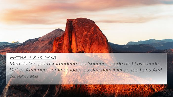 Matthæus 21:38 DA1871 Bible Verse Image