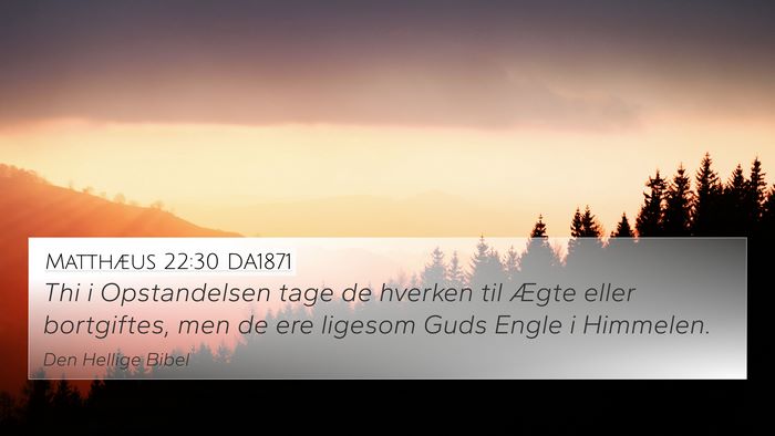 Matthæus 22:30 DA1871 Bible Verse Image