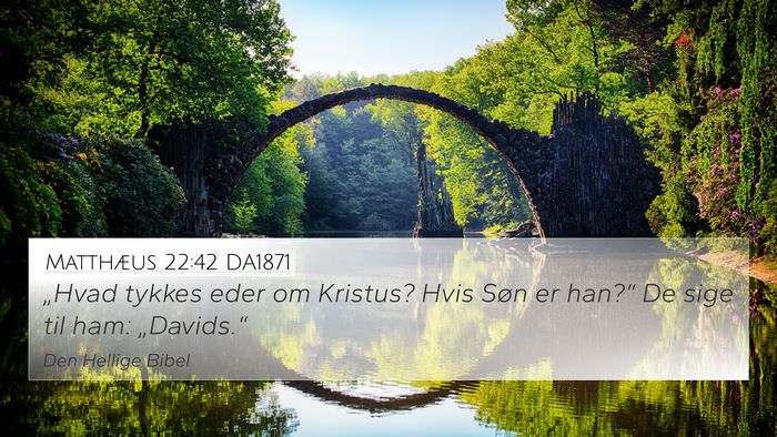 Matthæus 22:42 DA1871 Bible Verse Image