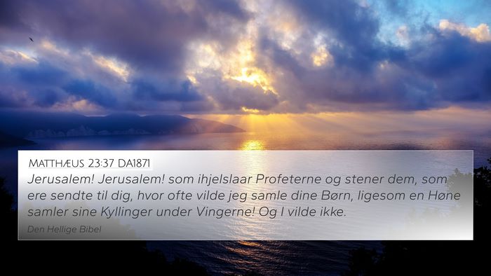 Matthæus 23:37 DA1871 Bible Verse Image