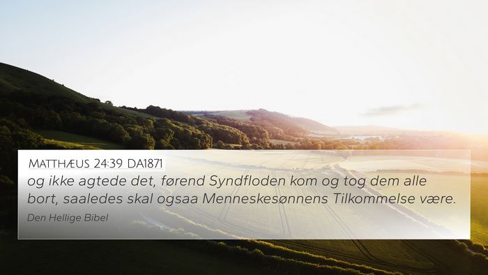 Matthæus 24:39 DA1871 Bible Verse Image