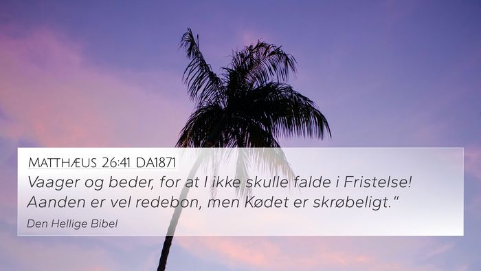 Matthæus 26:41 DA1871 Bible Verse Image