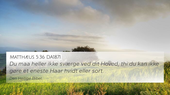 Matthæus 5:36 DA1871 Bible Verse Image