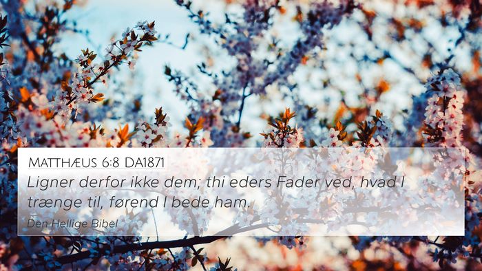 Matthæus 6:8 DA1871 Bible Verse Image