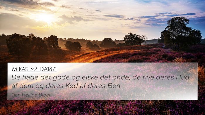 Mikas 3:2 DA1871 Bible Verse Image