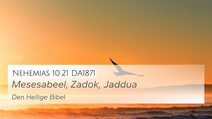 Nehemias 10:21 DA1871 4K Wallpaper - Mesesabeel, Zadok, - 4K Wallpaper Bible Verse