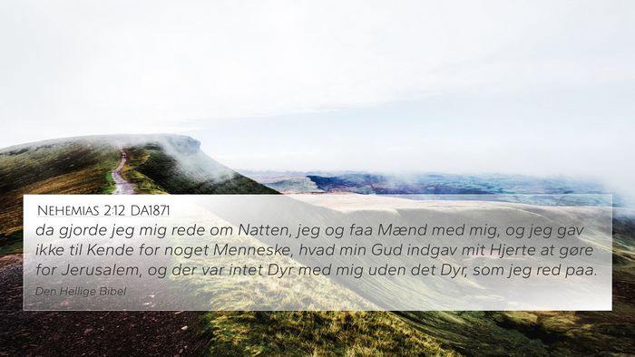 Nehemias 2:12 DA1871 Bible Verse Image