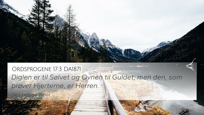 Ordsprogene 17:3 DA1871 Bible Verse Image