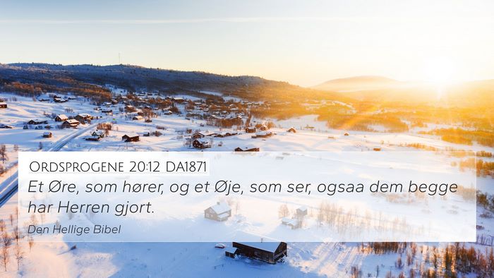 Ordsprogene 20:12 DA1871 Bible Verse Image