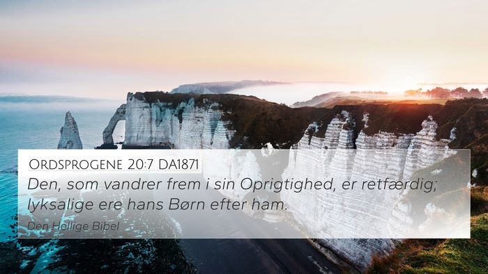 Ordsprogene 20:7 DA1871 Bible Verse Image