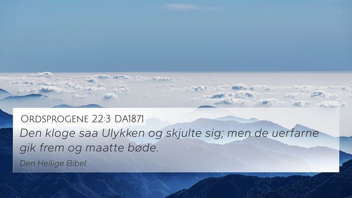 Ordsprogene 22:3 DA1871 Bible Verse Image