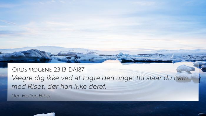 Ordsprogene 23:13 DA1871 Bible Verse Image