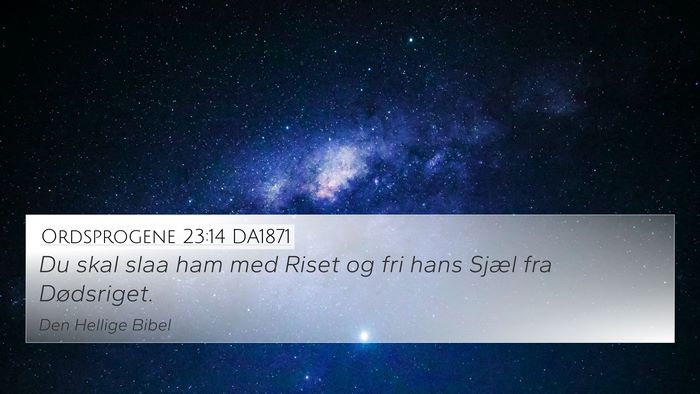 Ordsprogene 23:14 DA1871 Bible Verse Image