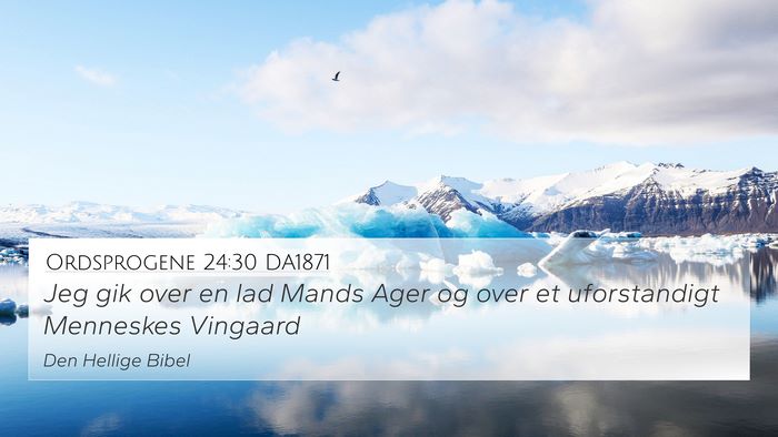 Ordsprogene 24:30 DA1871 Bible Verse Image