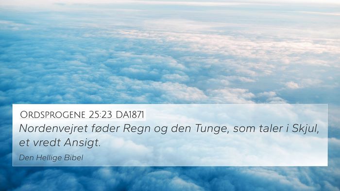 Ordsprogene 25:23 DA1871 Bible Verse Image