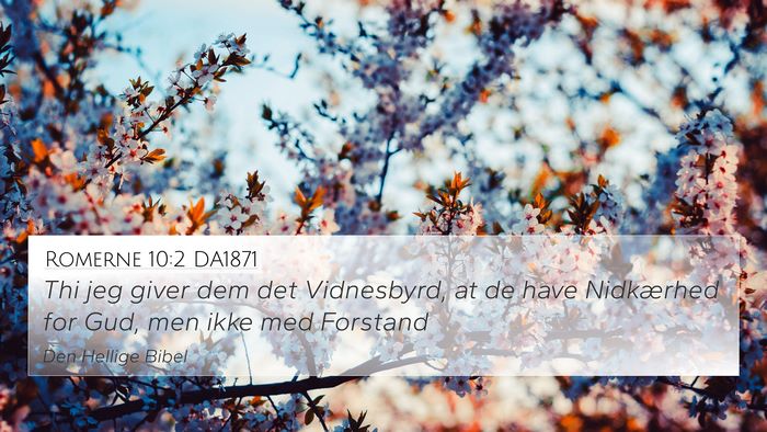 Romerne 10:2 DA1871 Bible Verse Image